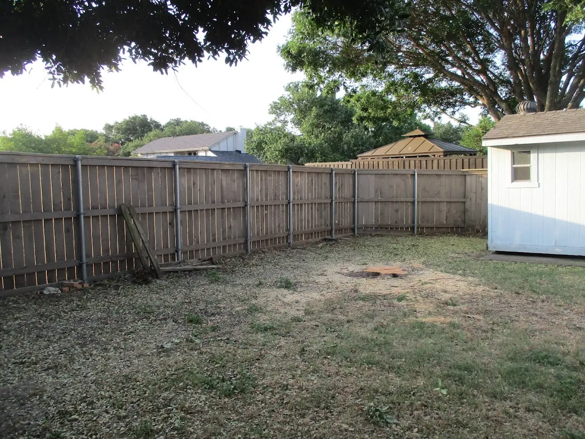 Cleared yard after professional tree removal in Lakewood